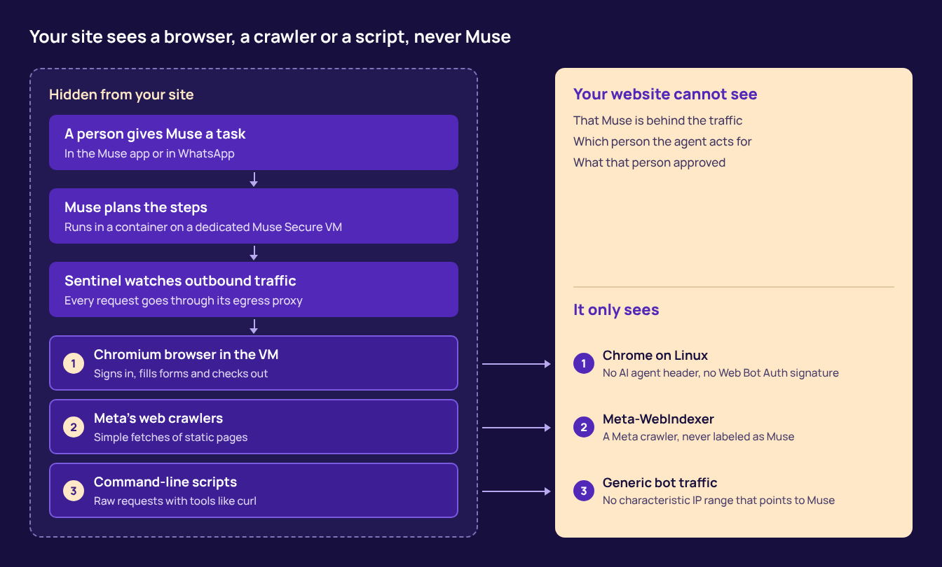 A person gives Muse a task, Muse plans the steps on its Secure VM, and Sentinel watches outbound traffic. Muse then reaches your site through a Chromium browser, Meta's web crawlers or command-line scripts, which your site sees as Chrome on Linux, Meta-WebIndexer or generic bot traffic.
